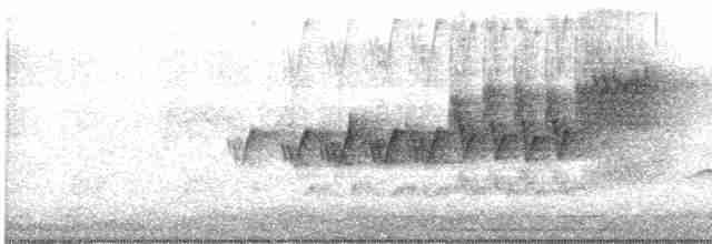 Cerulean Warbler - ML236831611