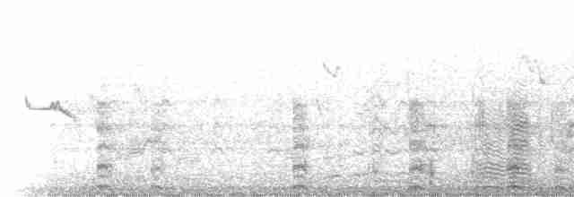 pisila černokrká (ssp. knudseni) - ML236853