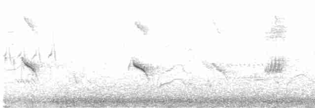 Evening Grosbeak (type 1) - ML236895971