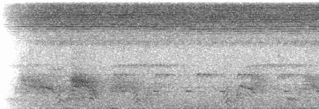 Rotschnabel-Brillenvanga (caniceps) - ML236917