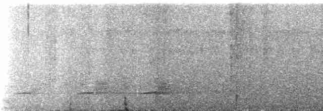 svartkinnhjelmvarsler (caniceps) - ML236923