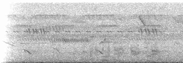 Дятел плямистобокий - ML236926
