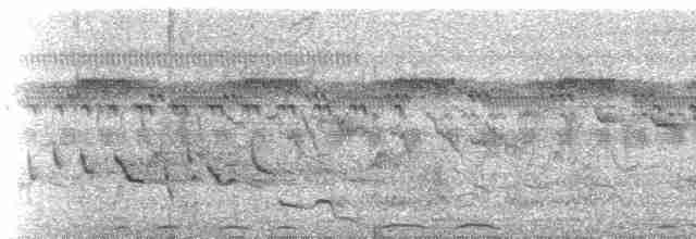 Bart-Bülbülgrasmücke - ML236930