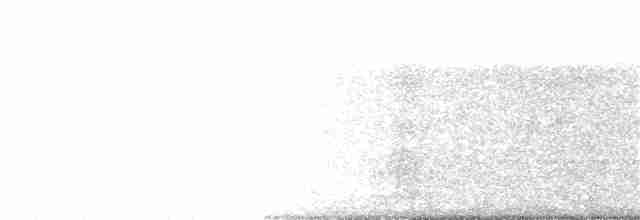 Tinamou élégant - ML236936931