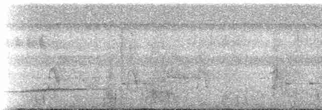 svartkronebrednebb - ML236950
