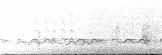 ハジロオオシギ（semipalmata） - ML236961361