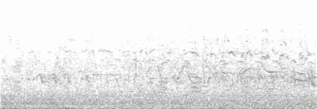 White Wagtail - ML237119791