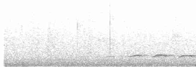 White-streaked Antvireo - ML23718971