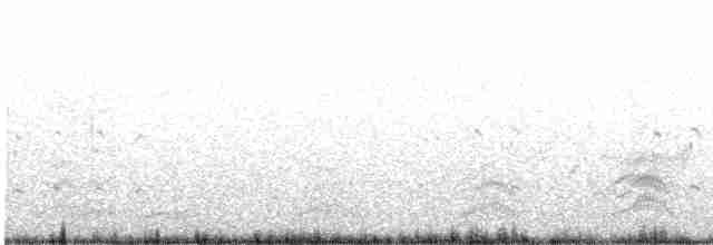 Arctic Tern - ML237197031