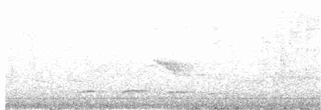 Gray-mantled Wren - ML23719761