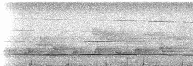 Каштановый зимородок - ML237220