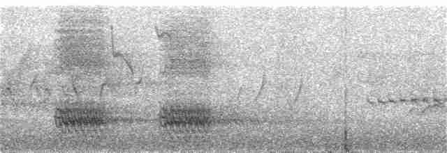 ořešník kropenatý [skupina hemispila] - ML237241811