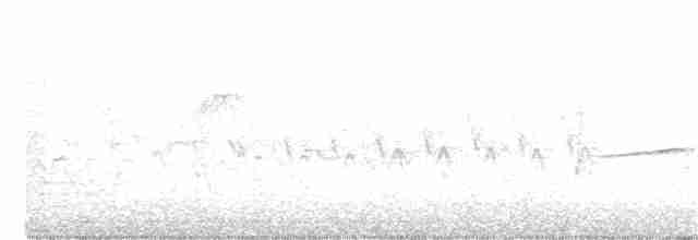 Дрізд-короткодзьоб плямистоволий - ML237276031