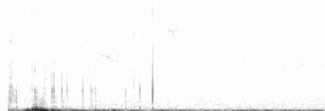 Black-throated Gray Warbler - ML237293191