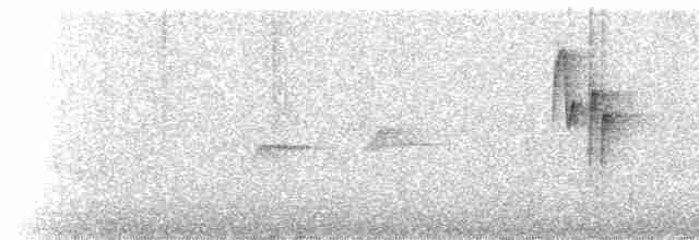 Green-tailed Sunbird - ML237356