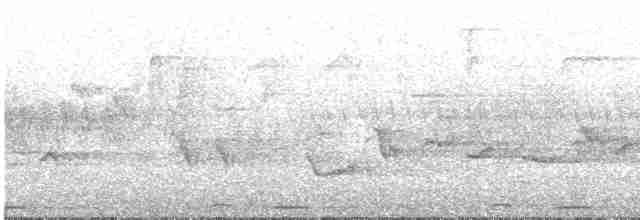 Common Cuckoo - ML237427281