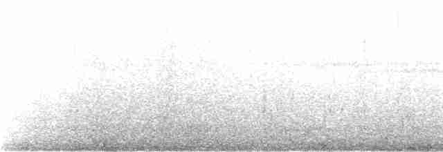 kormorán galapážský - ML237480