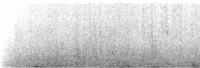 tučňák galapážský - ML237481