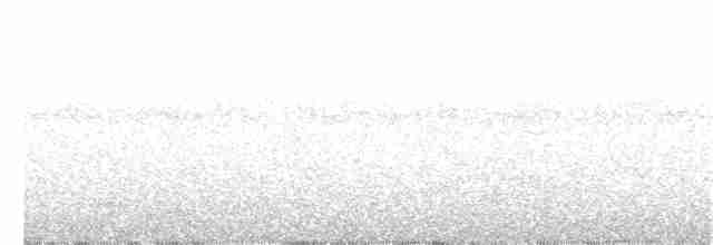 Batı Amerika Sinekkapanı (occidentalis/hellmayri) - ML237486491