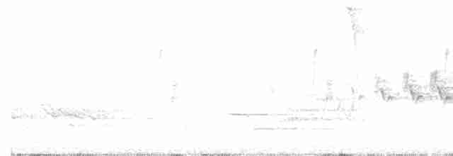 Cerulean Warbler - ML237516231