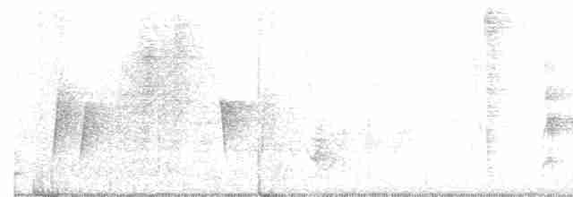 White-eyed Vireo - ML237520401