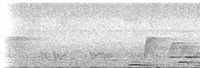 Зеленоногая лесная куропатка - ML237531