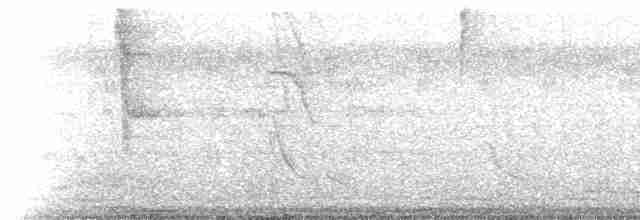 egretthegre (egretta) - ML237537