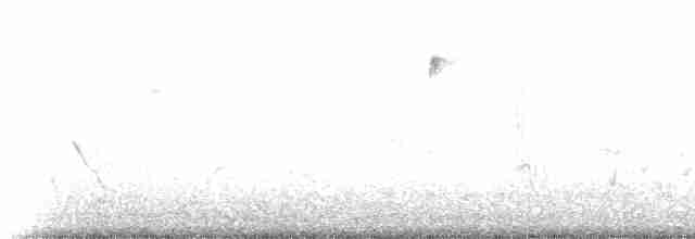 Кривоклювый пересмешник - ML237571