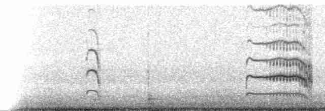 Common Tern (hirundo/tibetana) - ML237670