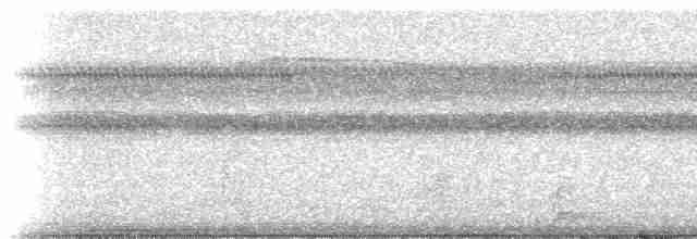 Gözlüklü Hokko (fasciolata/grayi) - ML237689