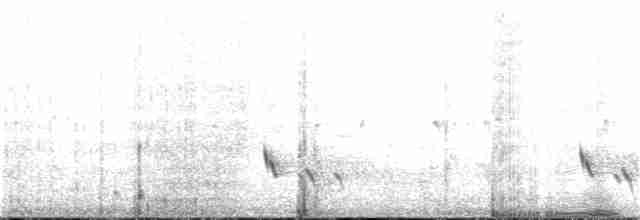 Сероголовый медосос - ML237690911