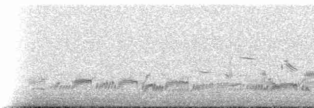 Берингийский песочник (ptilocnemis) - ML237711