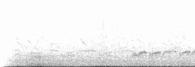 Beringstrandläufer (ptilocnemis) - ML237714