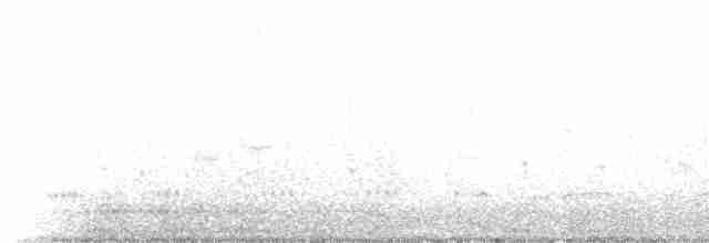 Beringstrandläufer (ptilocnemis) - ML237719