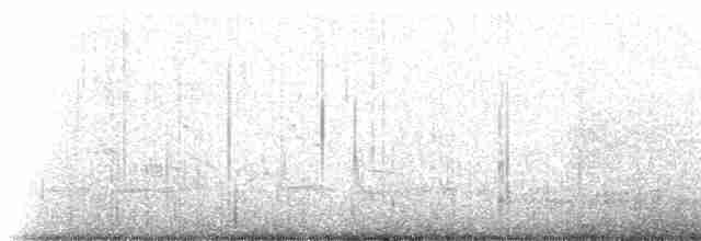 klippesnipe (ptilocnemis) - ML237721