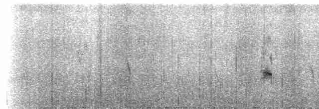 jespák pobřežní (ssp. ptilocnemis) - ML237723