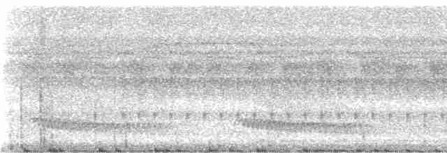 Rotspiegel-Ameisenvogel - ML237897