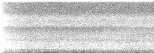 skjeggmaursmett (obscura) - ML237937