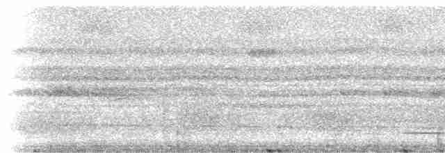 Полосатый арасари - ML237974
