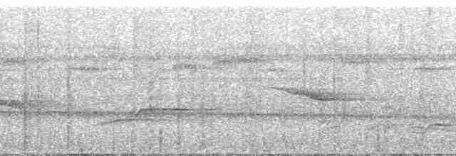 Epaulettentrupial (cayanensis) - ML23804