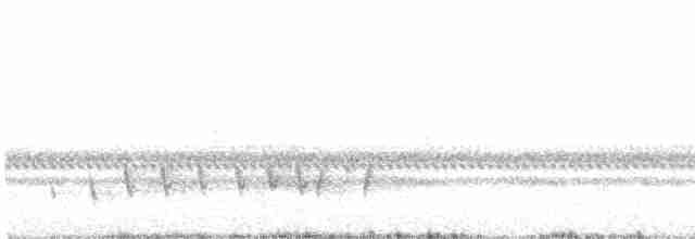 Buff-collared Nightjar - ML238087381