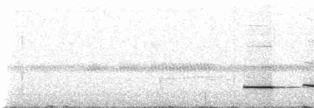 Pheasant Cuckoo - ML238121