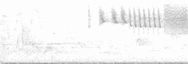 lesňáček modrokřídlý - ML238137621