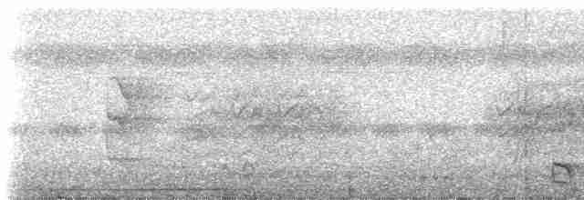 Черногорлый колибри-отшельник - ML238141