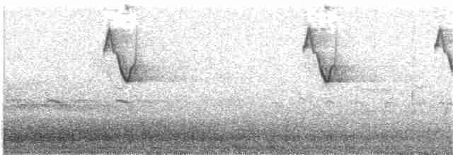 Swallow-tailed Hummingbird - ML238162101