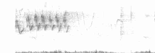 Cerulean Warbler - ML238181631