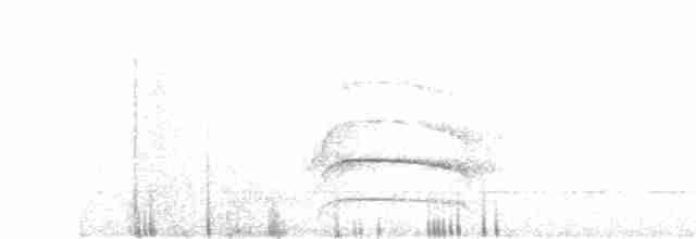 Büyük Kiskadi Tiranı - ML238203611