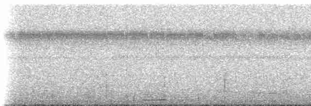 Graubrust-Dickichtschlüpfer - ML238205