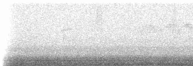 Колібрі-довгохвіст смарагдовий - ML238235