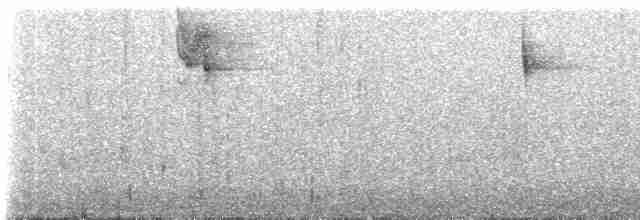White-headed Brushfinch - ML238258